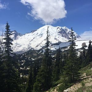 Meet your Posher, Maryana